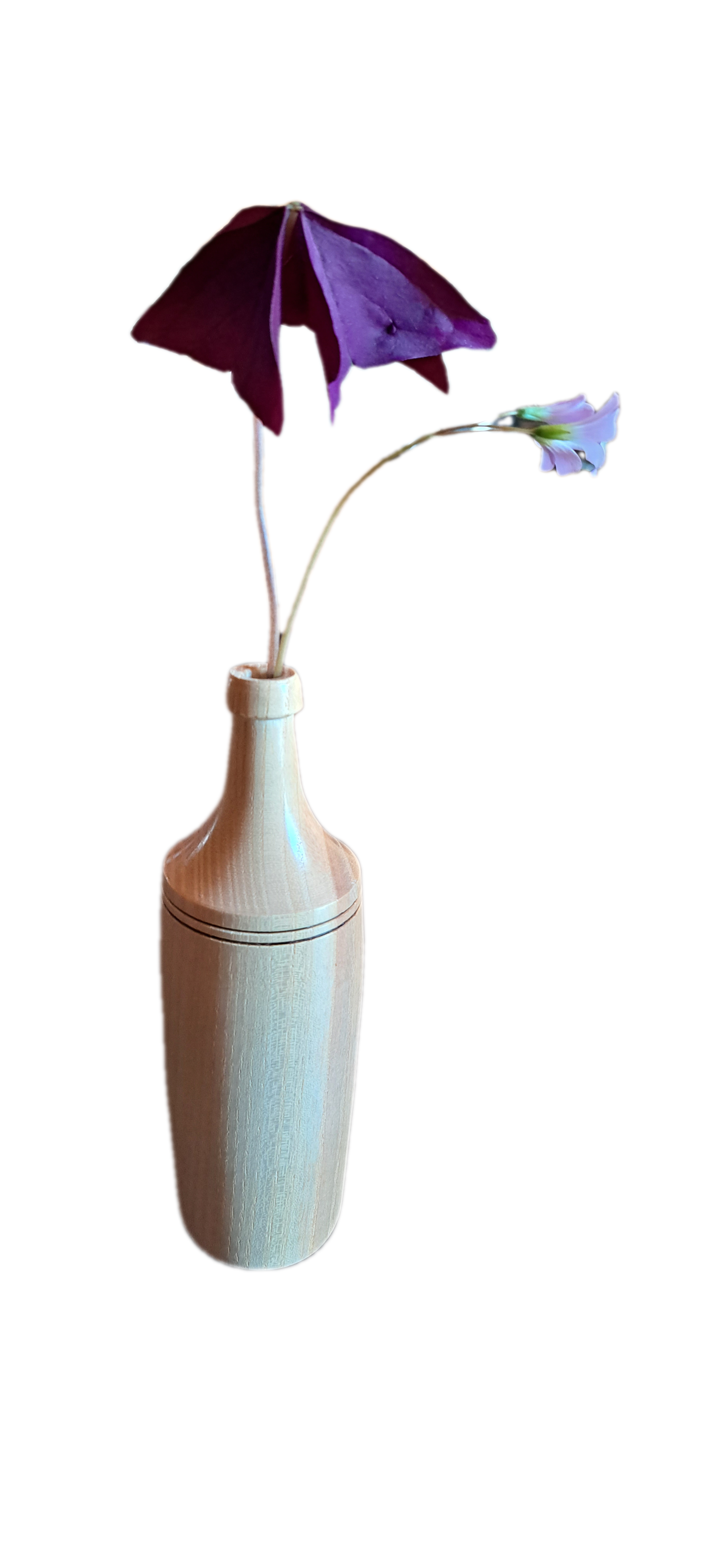 Soliflore avec fleurs
